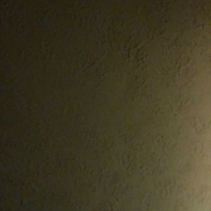 Meet your Posher, Channing